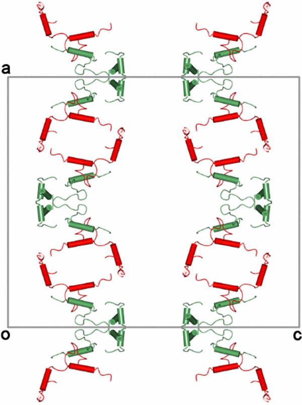 Fig.10.