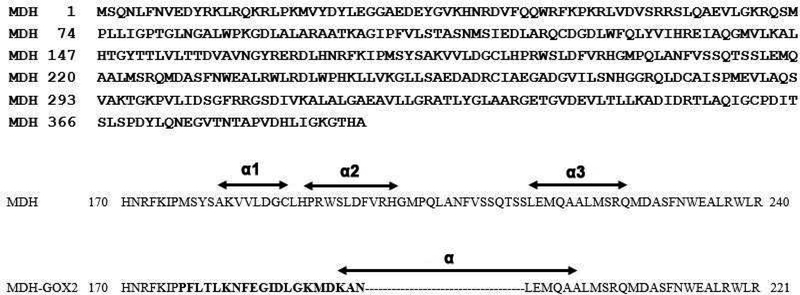 Fig.2.