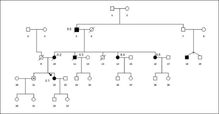 Suppl. Figure 1.