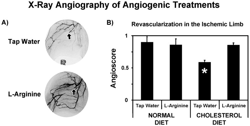 FIG. 5