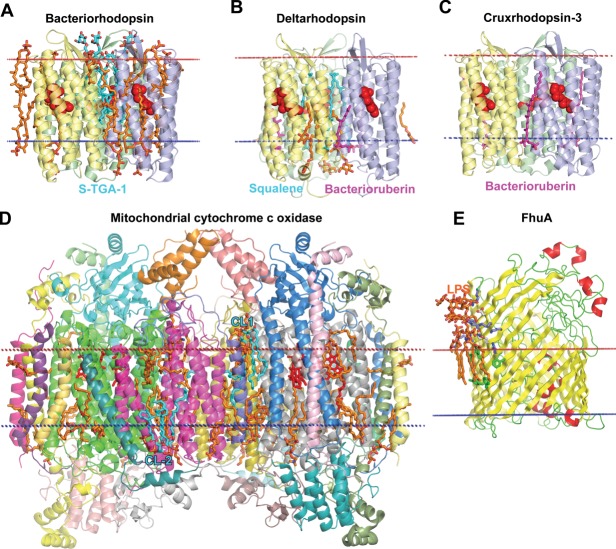 Figure 14