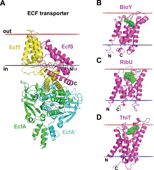 Figure 11