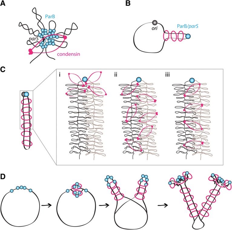 Figure 7.