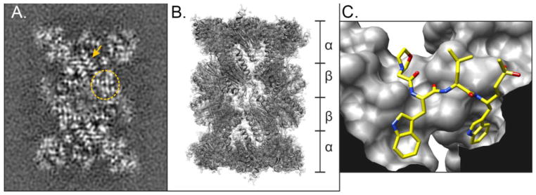 Fig. 2