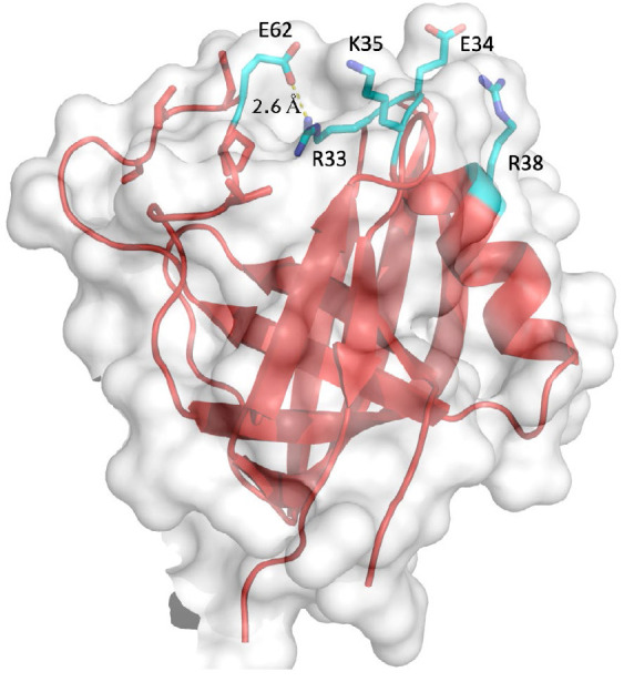 Fig. 2