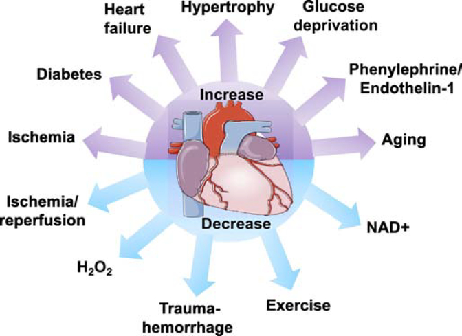 Figure 1: