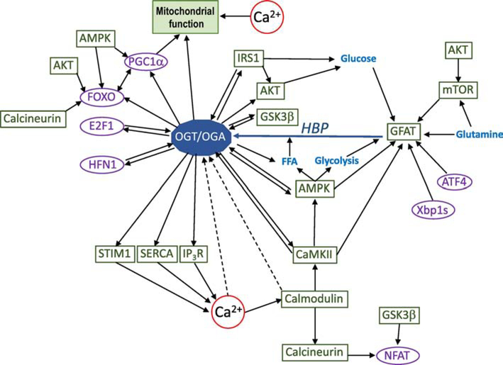 Figure 3: