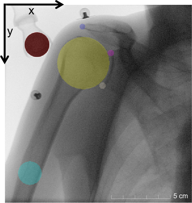 Fig. 2