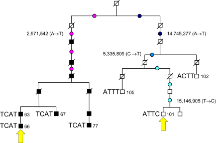 Figure 2