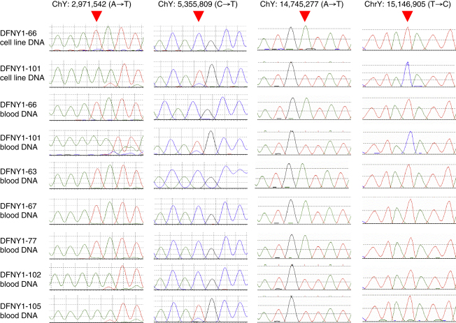 Figure 1