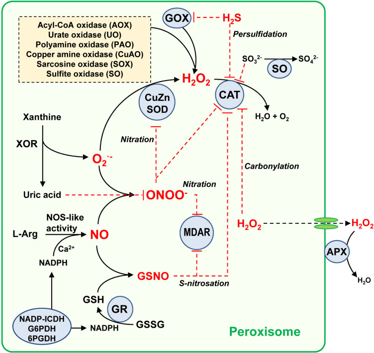 FIGURE 2