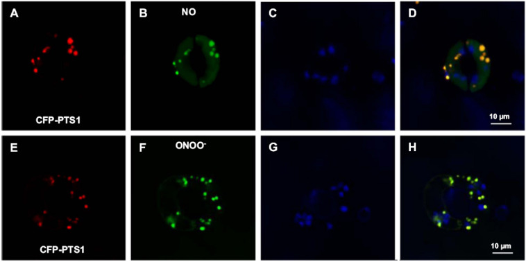 FIGURE 3