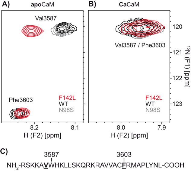 FIGURE 7.