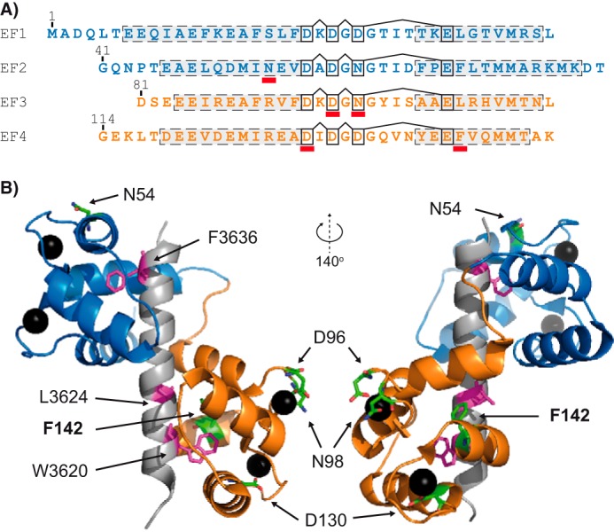 FIGURE 1.