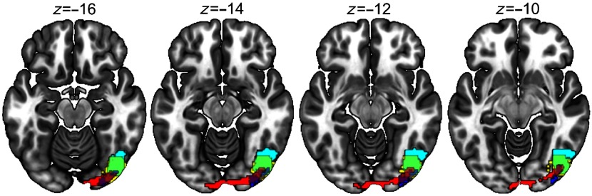 Fig. 6