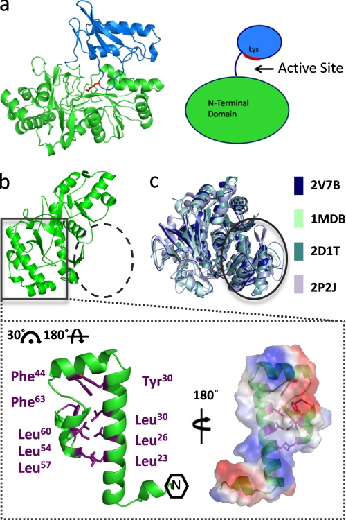 FIGURE 2.