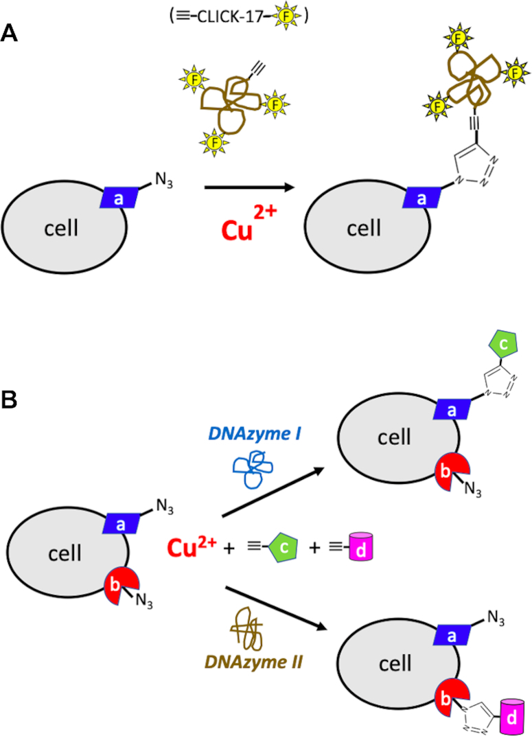 Figure 9.