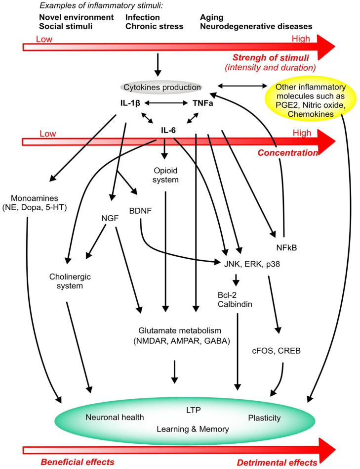 Figure 2.