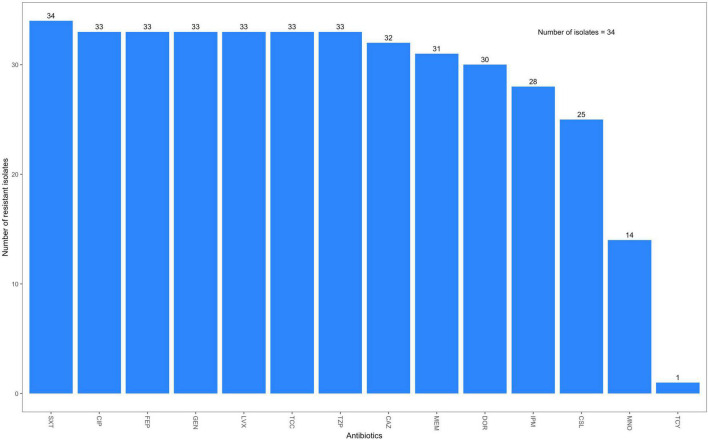 FIGURE 4