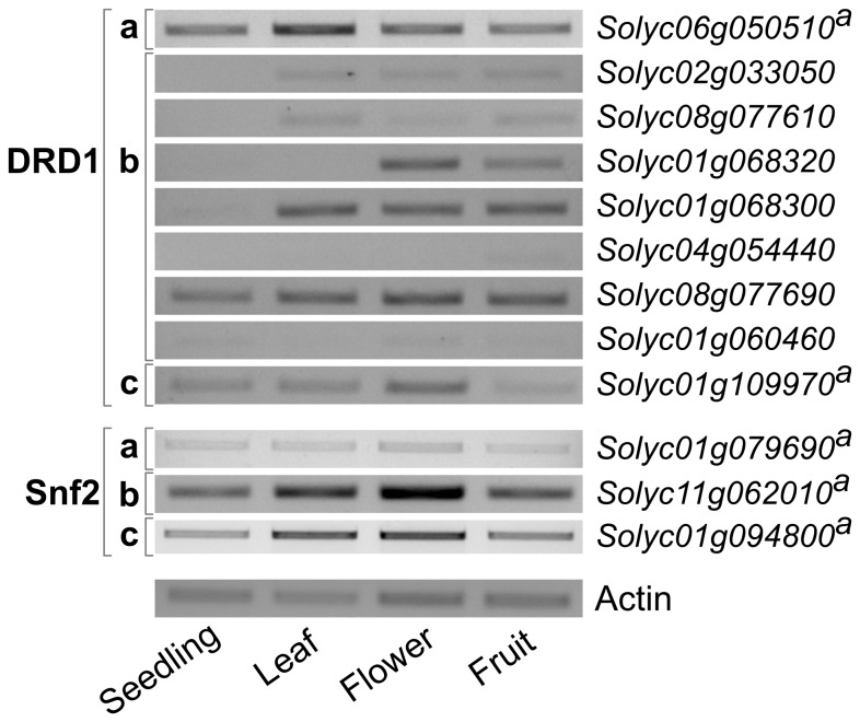 Figure 4