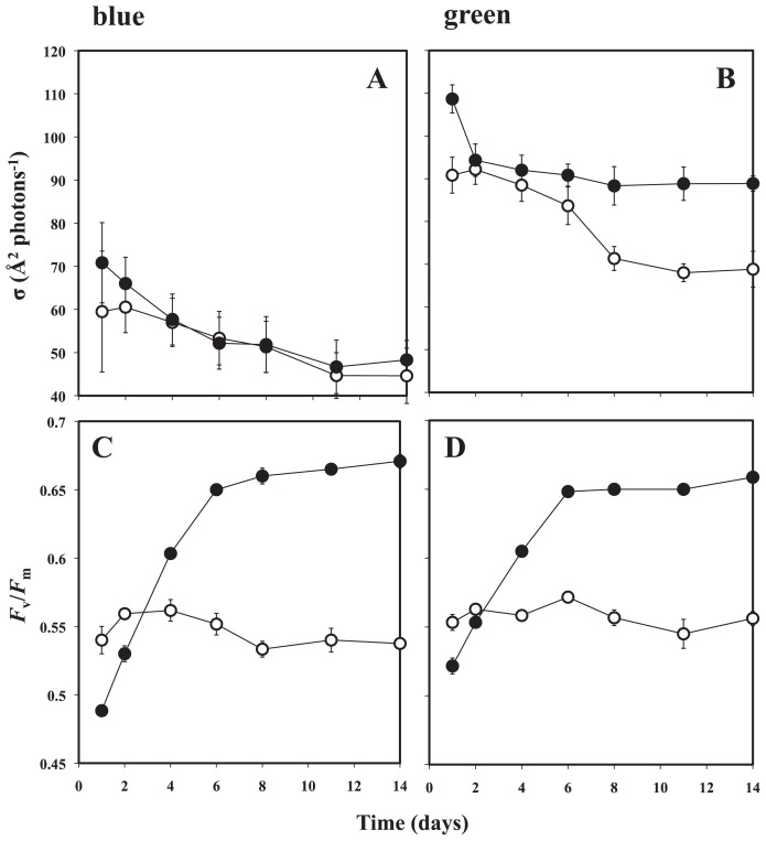 Fig. 2