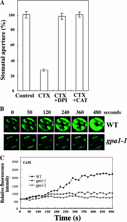 Figure 7.