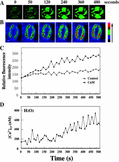 Figure 5.