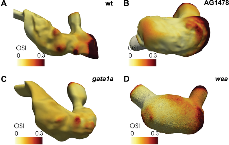 Figure 5: