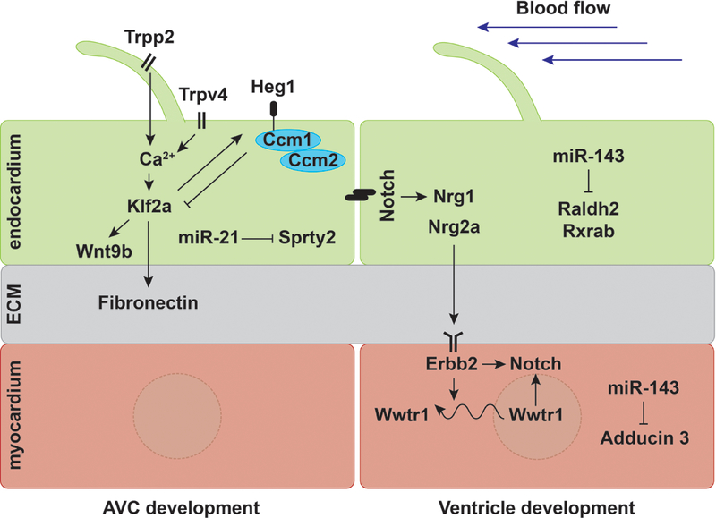 Figure 6: