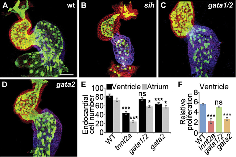 Figure 3: