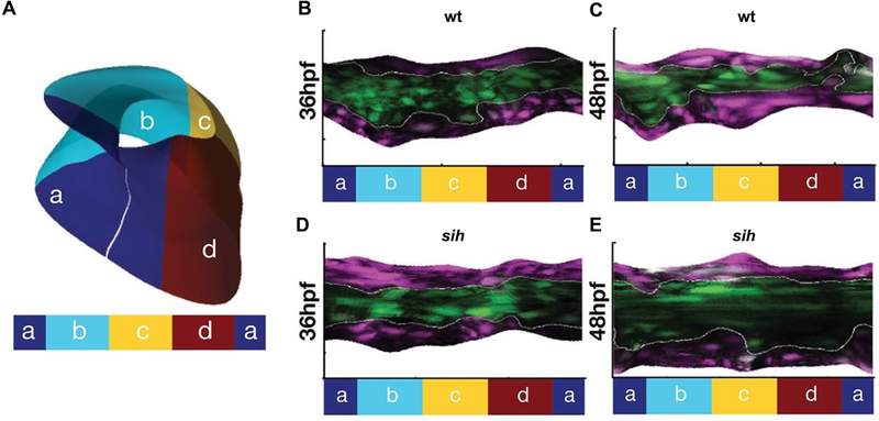 Figure 4: