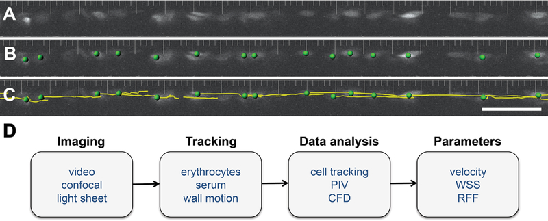 Figure 1: