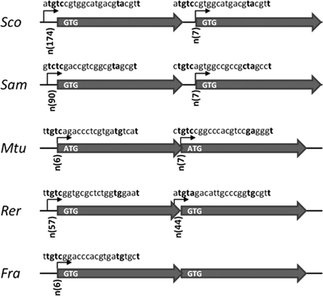 FIG 1