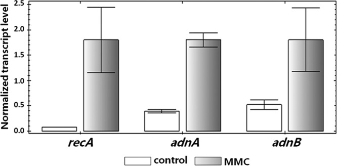 FIG 2