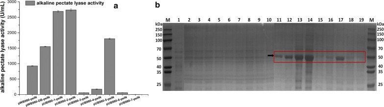 Fig. 4