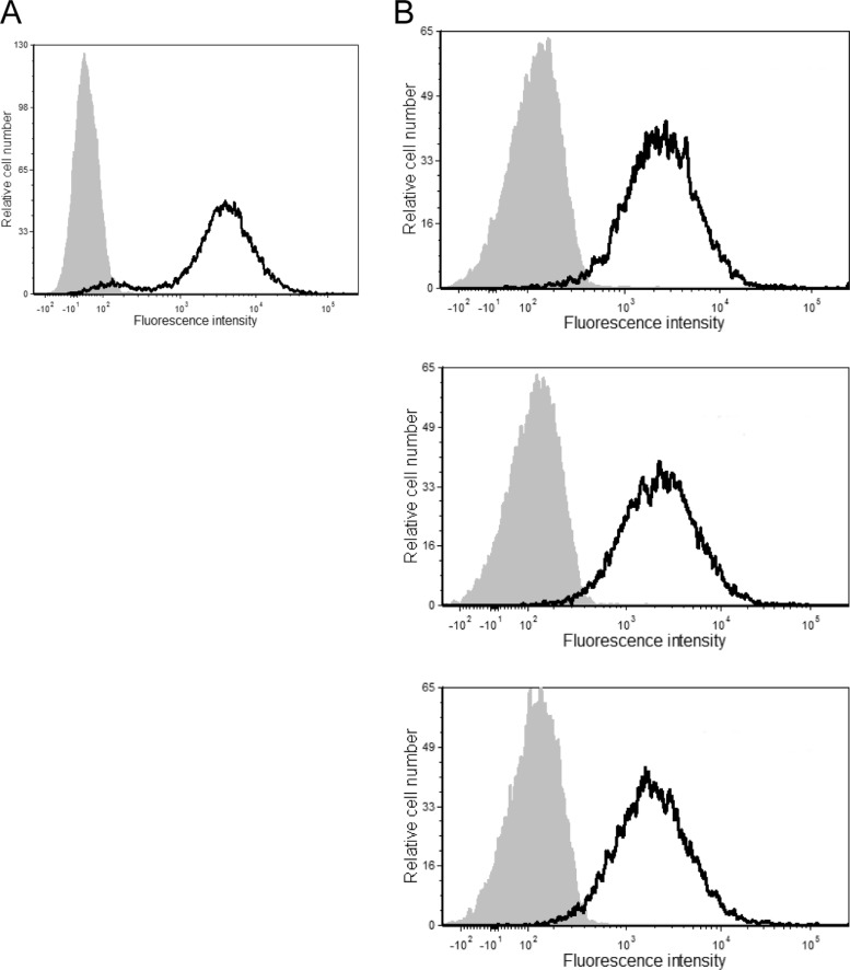 FIG 1