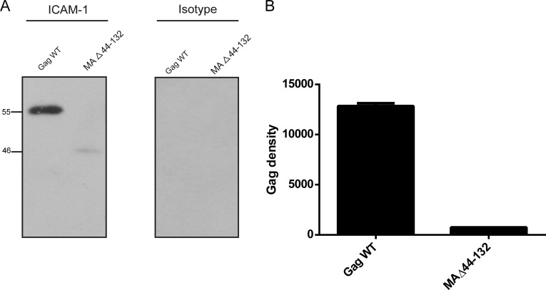 FIG 3