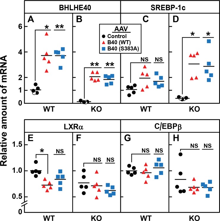 Figure 10.