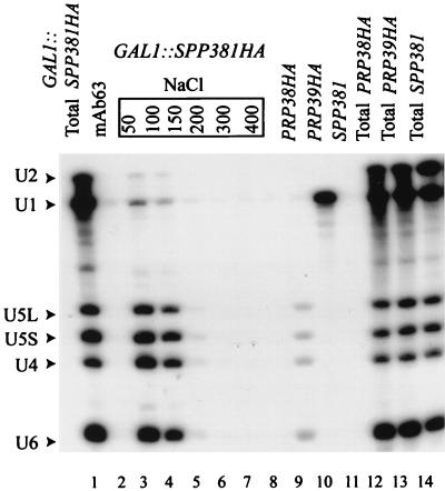 FIG. 6