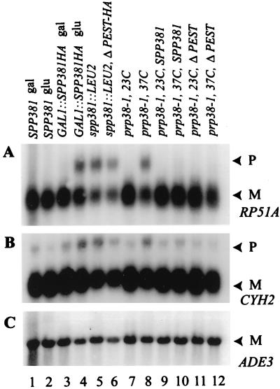 FIG. 5