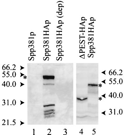 FIG. 8