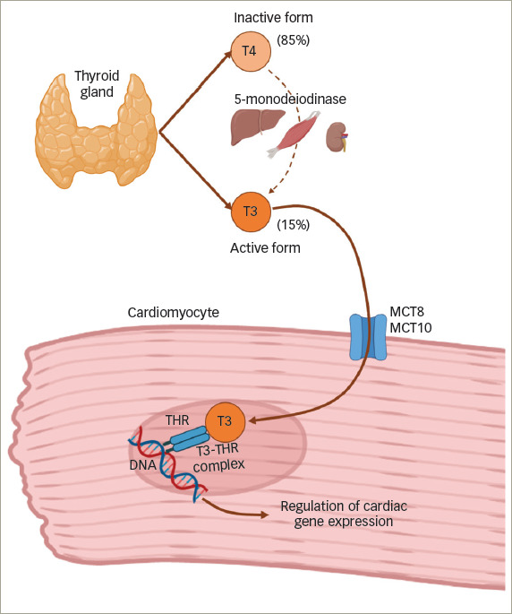 Figure 2: