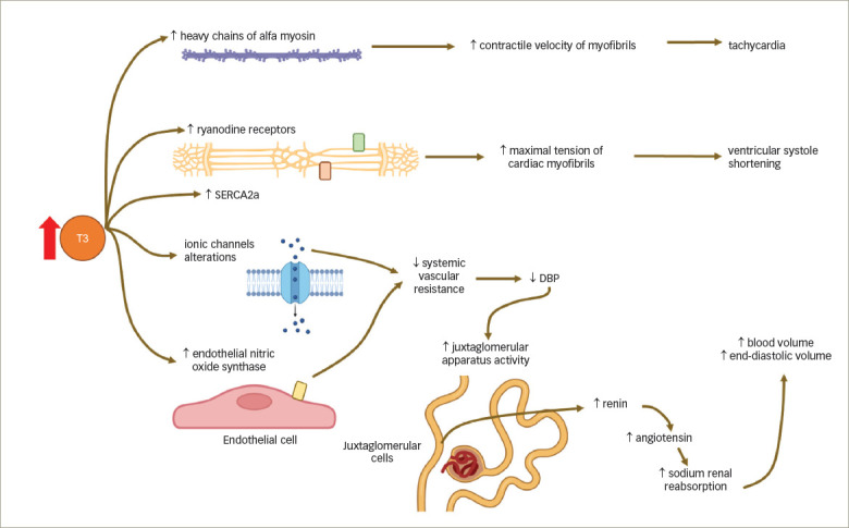 Figure 3: