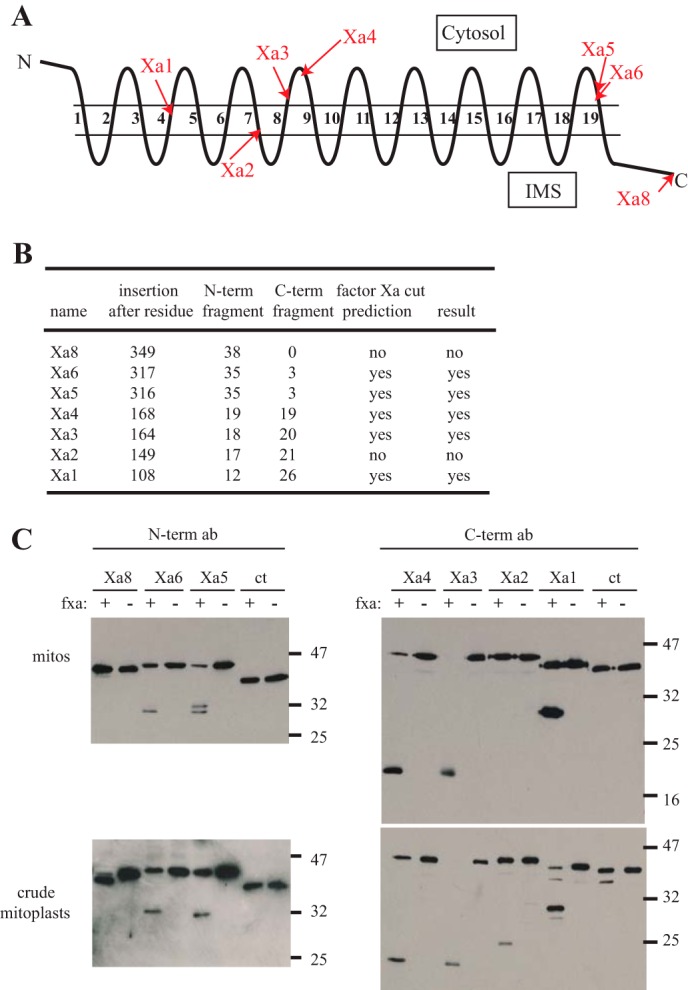 FIGURE 2.