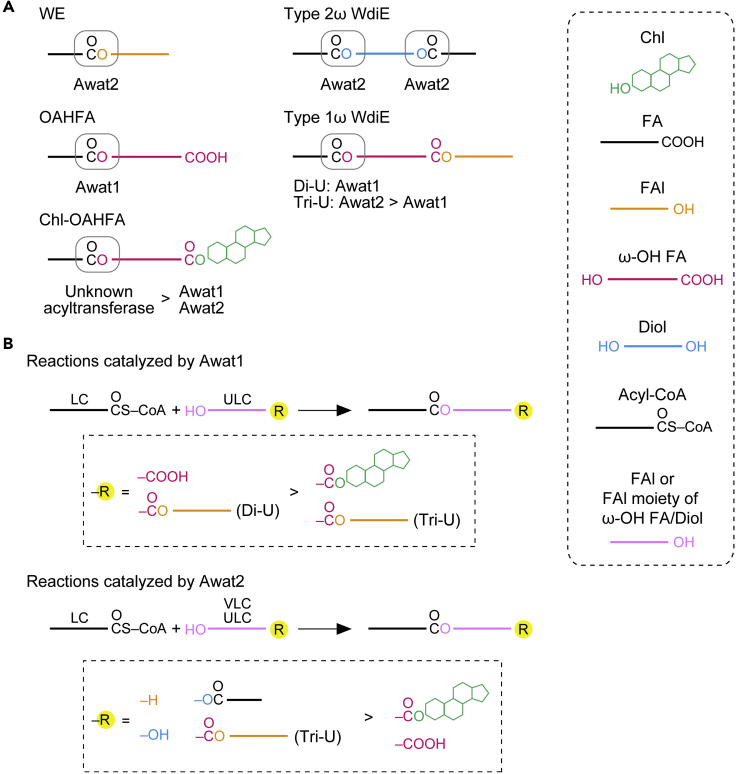 Figure 9