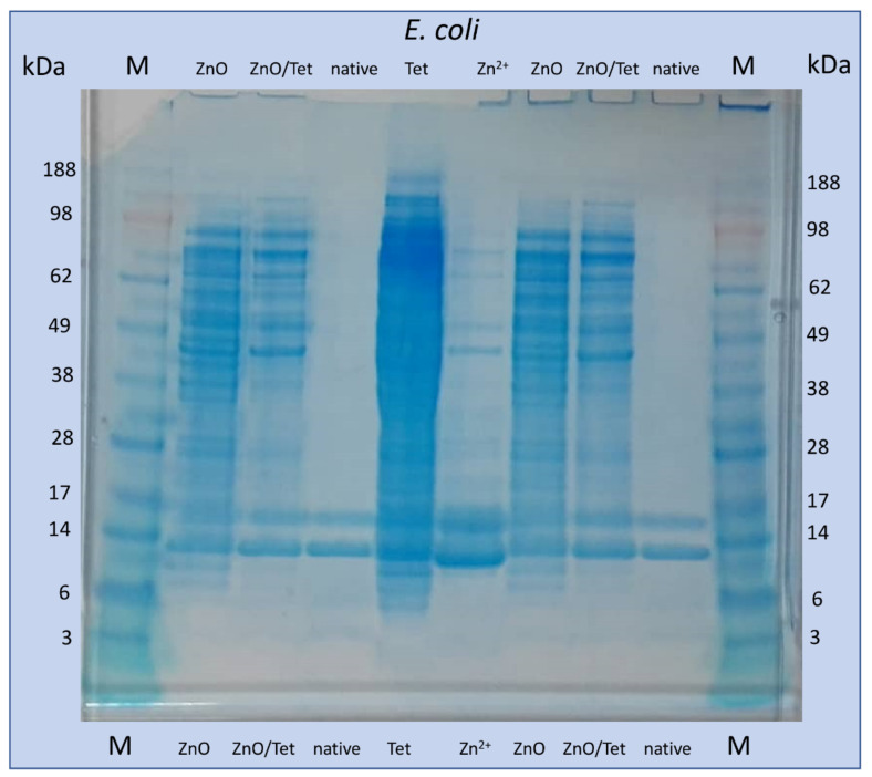 Figure 9