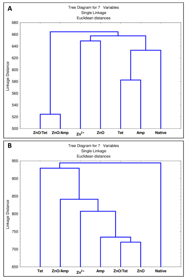 Figure 12