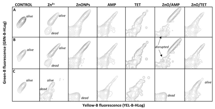 Figure 7