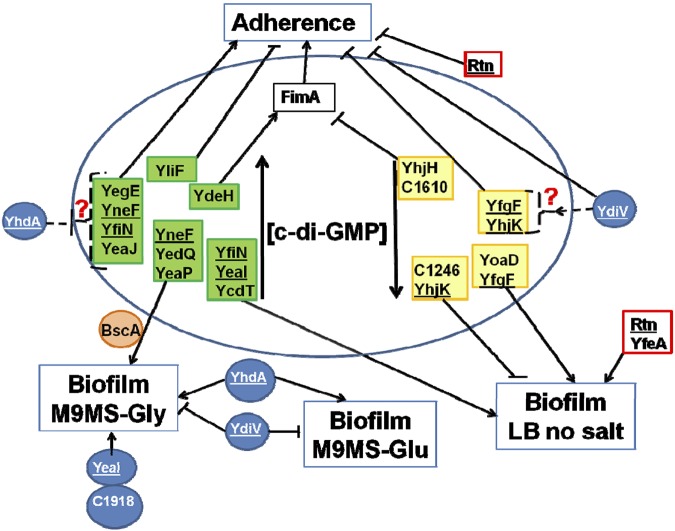 FIG 4 