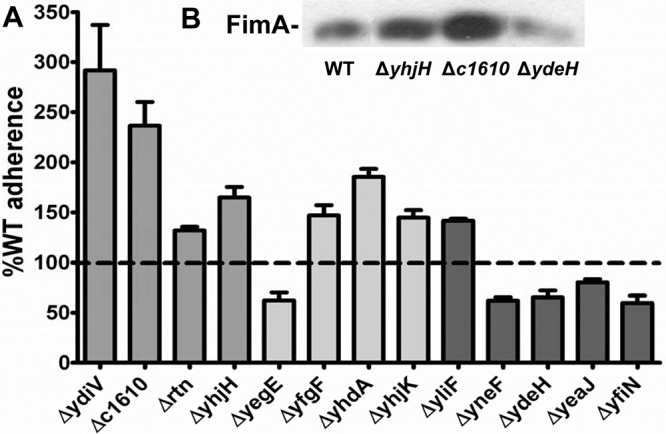 FIG 3 